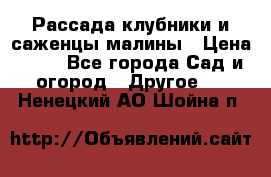 Рассада клубники и саженцы малины › Цена ­ 10 - Все города Сад и огород » Другое   . Ненецкий АО,Шойна п.